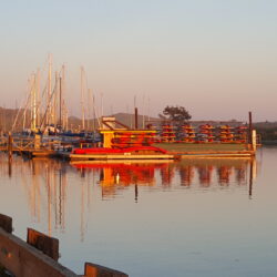 Harbor Sunset