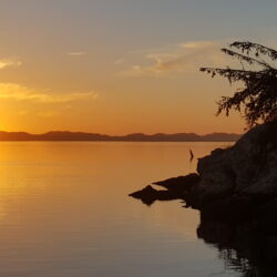 Lake Sunset